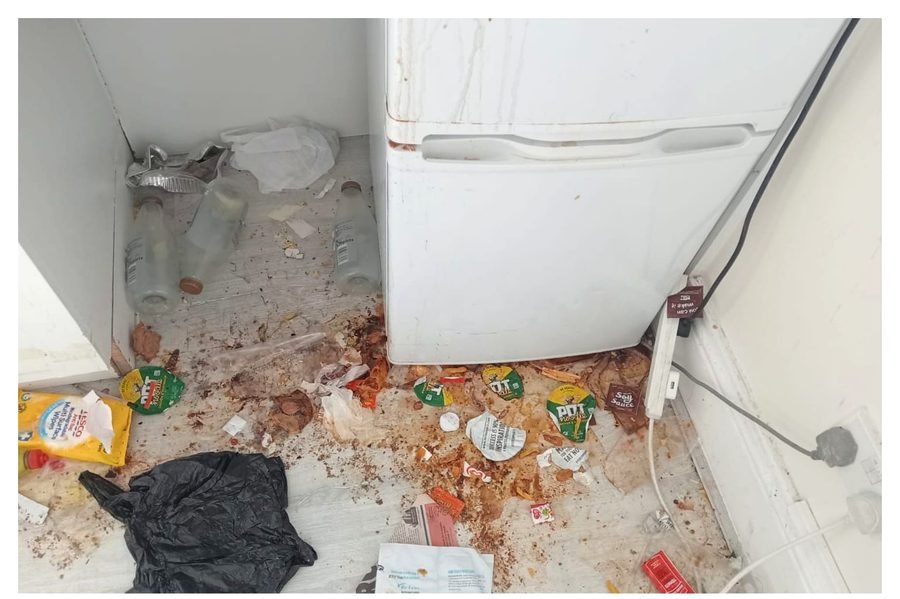 Behind the fridge before deep cleaning