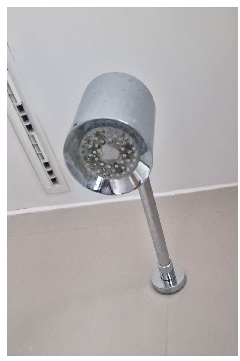 Limescale shower head before deep cleaning